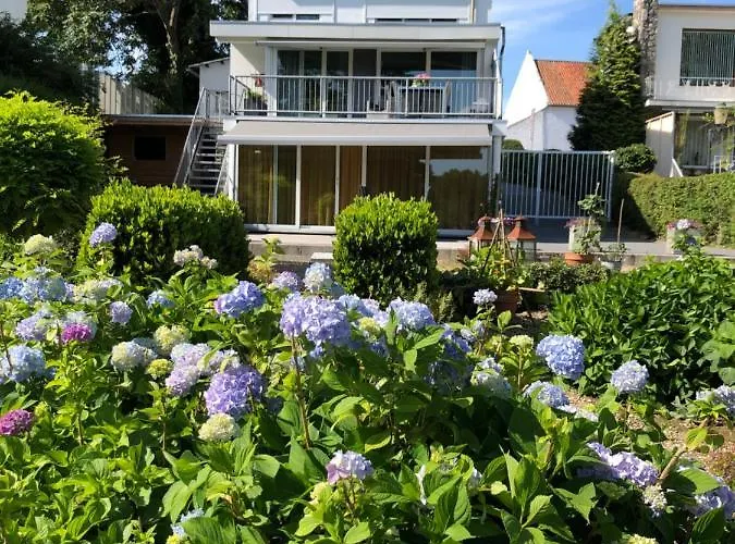 Rose Bed & Breakfast Valkenburg (South Holland)